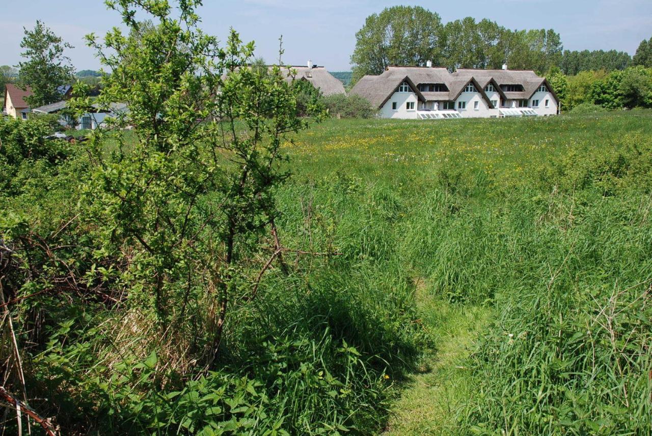 Strandhaus Lobbe - Fewo 45499 エクステリア 写真